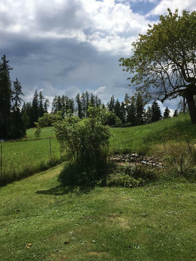 Haus Katrin Villa Sankt Marein bei Knittelfeld Bagian luar foto